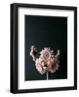 Pink Black-Design Fabrikken-Framed Photographic Print