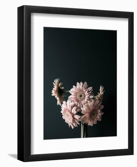 Pink Black-Design Fabrikken-Framed Photographic Print