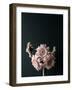 Pink Black-Design Fabrikken-Framed Photographic Print