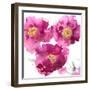 Pink Bloom II-Vanessa Austin-Framed Art Print