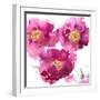 Pink Bloom II-Vanessa Austin-Framed Art Print
