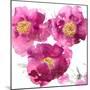 Pink Bloom II-Vanessa Austin-Mounted Art Print