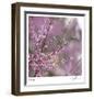 Pink Blooms-Ken Bremer-Framed Limited Edition