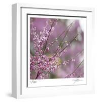 Pink Blooms-Ken Bremer-Framed Limited Edition