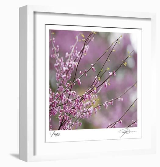 Pink Blooms-Ken Bremer-Framed Limited Edition