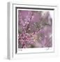 Pink Blooms-Ken Bremer-Framed Limited Edition