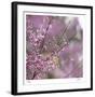 Pink Blooms-Ken Bremer-Framed Limited Edition