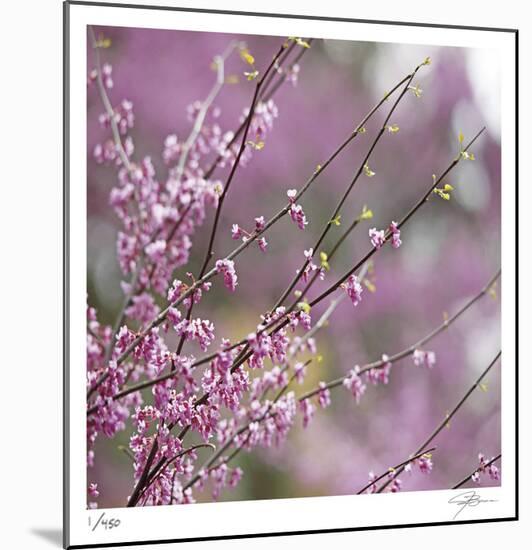 Pink Blooms-Ken Bremer-Mounted Limited Edition