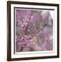 Pink Blooms-Ken Bremer-Framed Limited Edition