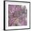 Pink Blooms-Ken Bremer-Framed Limited Edition
