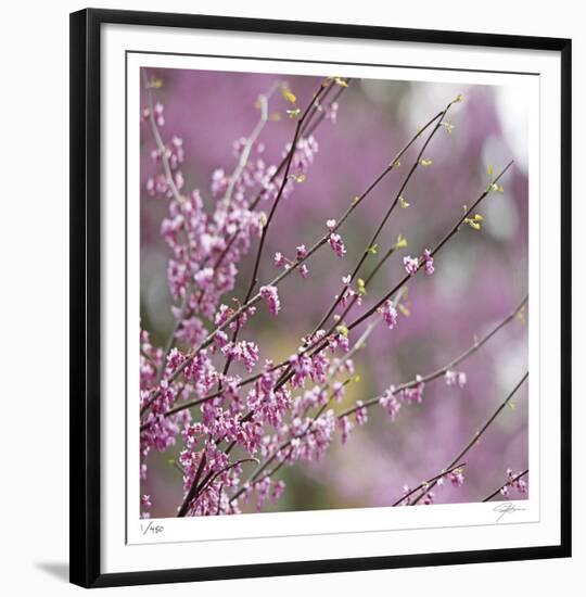 Pink Blooms-Ken Bremer-Framed Limited Edition