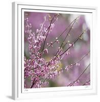 Pink Blooms-Ken Bremer-Framed Limited Edition