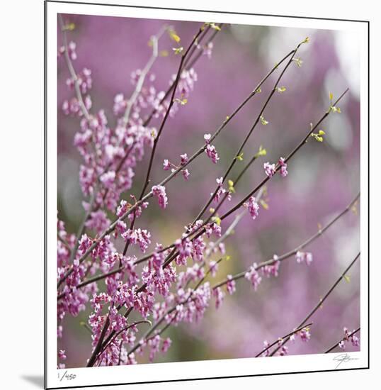 Pink Blooms-Ken Bremer-Mounted Limited Edition