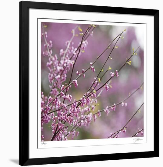 Pink Blooms-Ken Bremer-Framed Limited Edition