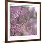 Pink Blooms-Ken Bremer-Framed Limited Edition