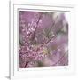 Pink Blooms-Ken Bremer-Framed Limited Edition