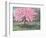 Pink Blossom, 1994-Liz Wright-Framed Giclee Print