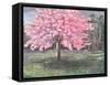 Pink Blossom, 1994-Liz Wright-Framed Stretched Canvas