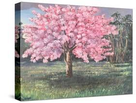 Pink Blossom, 1994-Liz Wright-Stretched Canvas