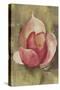 Pink Blossom Crop-Cheri Blum-Stretched Canvas