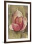 Pink Blossom Crop-Cheri Blum-Framed Art Print