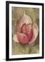 Pink Blossom Crop-Cheri Blum-Framed Art Print