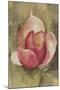 Pink Blossom Crop-Cheri Blum-Mounted Art Print