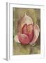 Pink Blossom Crop-Cheri Blum-Framed Art Print