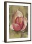 Pink Blossom Crop-Cheri Blum-Framed Art Print