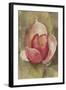 Pink Blossom Crop-Cheri Blum-Framed Art Print