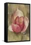 Pink Blossom Crop-Cheri Blum-Framed Stretched Canvas