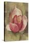 Pink Blossom Crop-Cheri Blum-Stretched Canvas