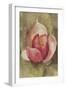 Pink Blossom Crop-Cheri Blum-Framed Art Print