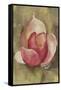 Pink Blossom Crop-Cheri Blum-Framed Stretched Canvas