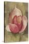 Pink Blossom Crop-Cheri Blum-Stretched Canvas