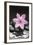 Pink Blossom on Black Stones-Uwe Merkel-Framed Photographic Print