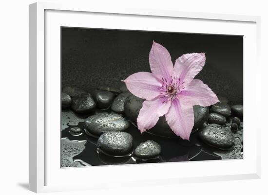 Pink Blossom on Black Stones-Uwe Merkel-Framed Photographic Print