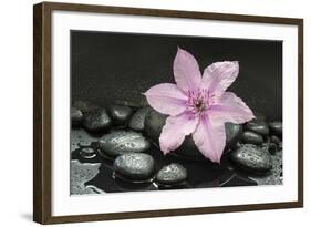 Pink Blossom on Black Stones-Uwe Merkel-Framed Photographic Print