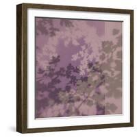 Pink Blossom-Sarah Cheyne-Framed Giclee Print