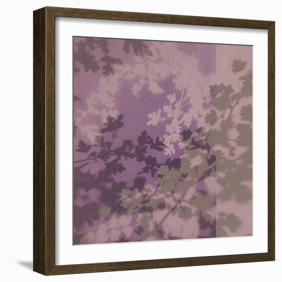 Pink Blossom-Sarah Cheyne-Framed Giclee Print
