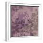 Pink Blossom-Sarah Cheyne-Framed Giclee Print