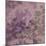 Pink Blossom-Sarah Cheyne-Mounted Giclee Print