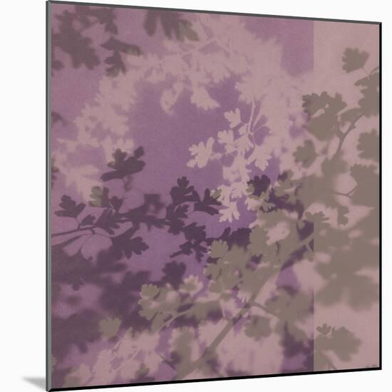 Pink Blossom-Sarah Cheyne-Mounted Giclee Print