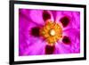 Pink Blossom-Martina Bleichner-Framed Art Print