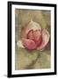 Pink Blossom-Cheri Blum-Framed Art Print