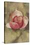 Pink Blossom-Cheri Blum-Stretched Canvas