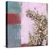 Pink Blossoms 01-Rick Novak-Stretched Canvas