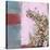 Pink Blossoms 01-Rick Novak-Stretched Canvas