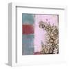 Pink Blossoms 01-Rick Novak-Framed Art Print