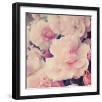 Pink Blossoms I-Sarah Gardner-Framed Photo